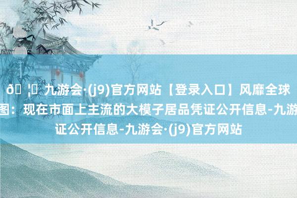 🦄九游会·(j9)官方网站【登录入口】风靡全球的娱乐游戏集团图：现在市面上主流的大模子居品凭证公开信息-九游会·(j9)官方网站