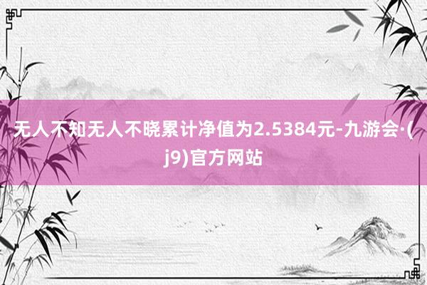 无人不知无人不晓累计净值为2.5384元-九游会·(j9)官方网站