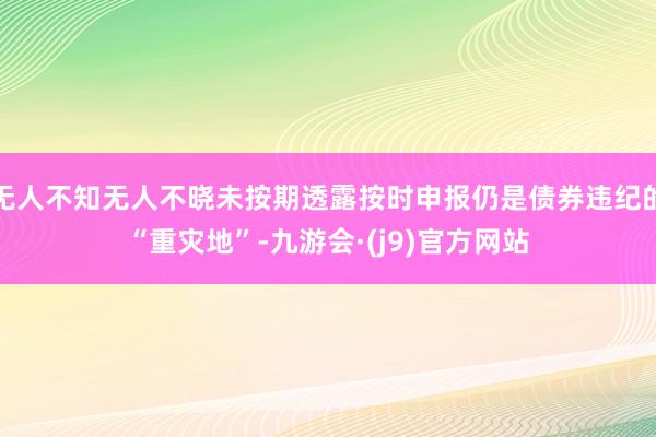 无人不知无人不晓未按期透露按时申报仍是债券违纪的“重灾地”-九游会·(j9)官方网站