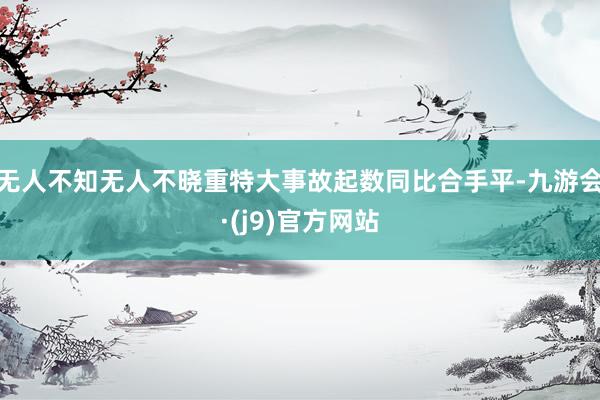 无人不知无人不晓重特大事故起数同比合手平-九游会·(j9)官方网站